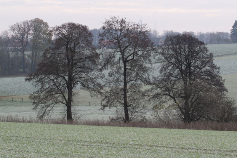 Landschaft bei Neuenkichen-Vörden