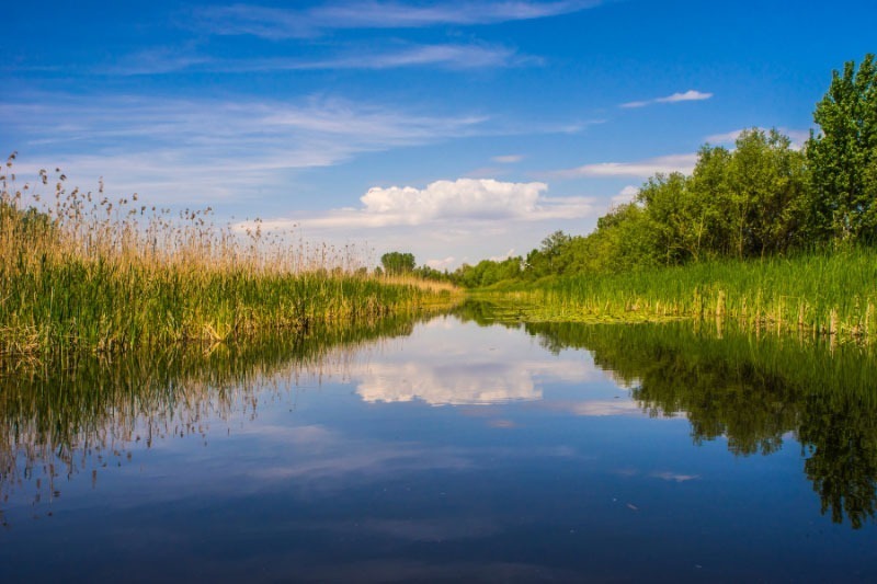 Fluss bei Osterholz-Scharmbeck
