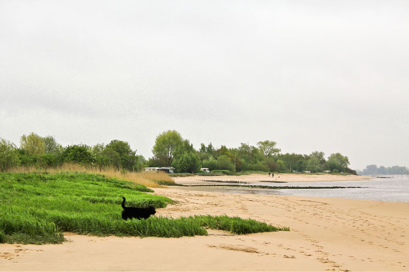 Strand in Brake