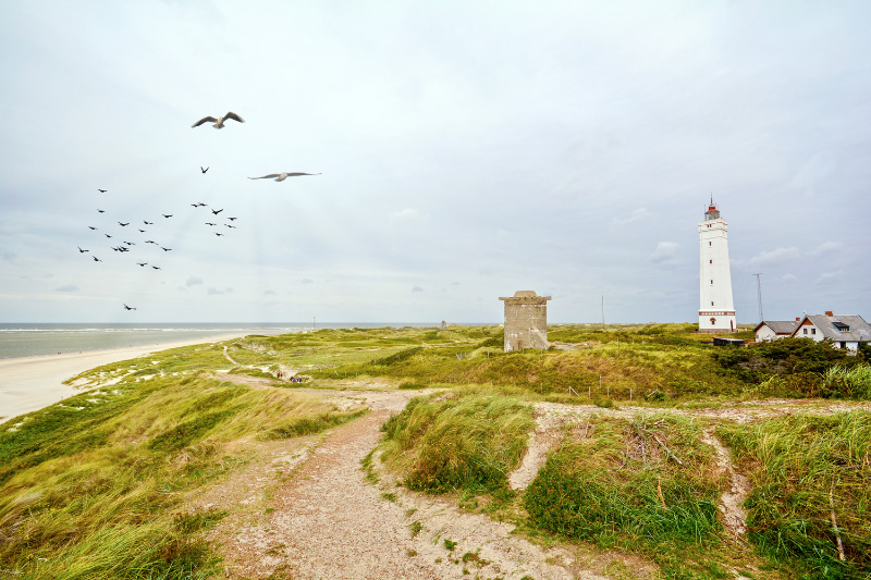 Ein Leuchtturm, ein paar urtümliche Häuser und eine alte Bunkerruine auf einer dänischen Düne direkt neben dem Sandstrand.