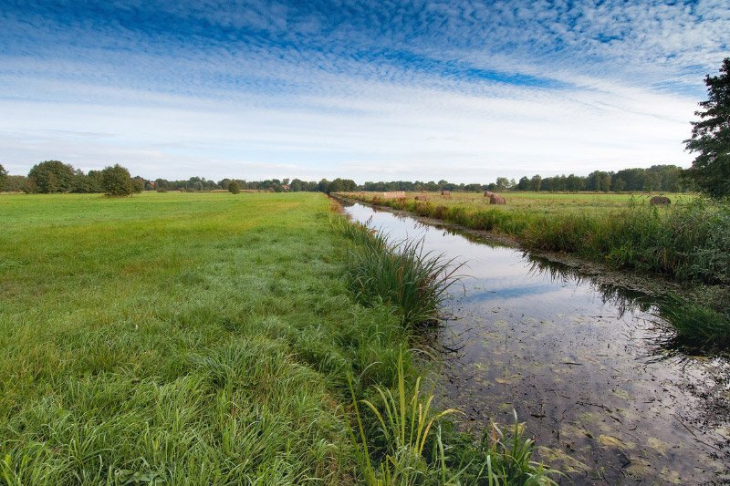 Norddeutsche Marschlandschaft mit schmalem Bach, grünen Wiesen und vereinzelten Bäumen in der Nähe von Norderstedt